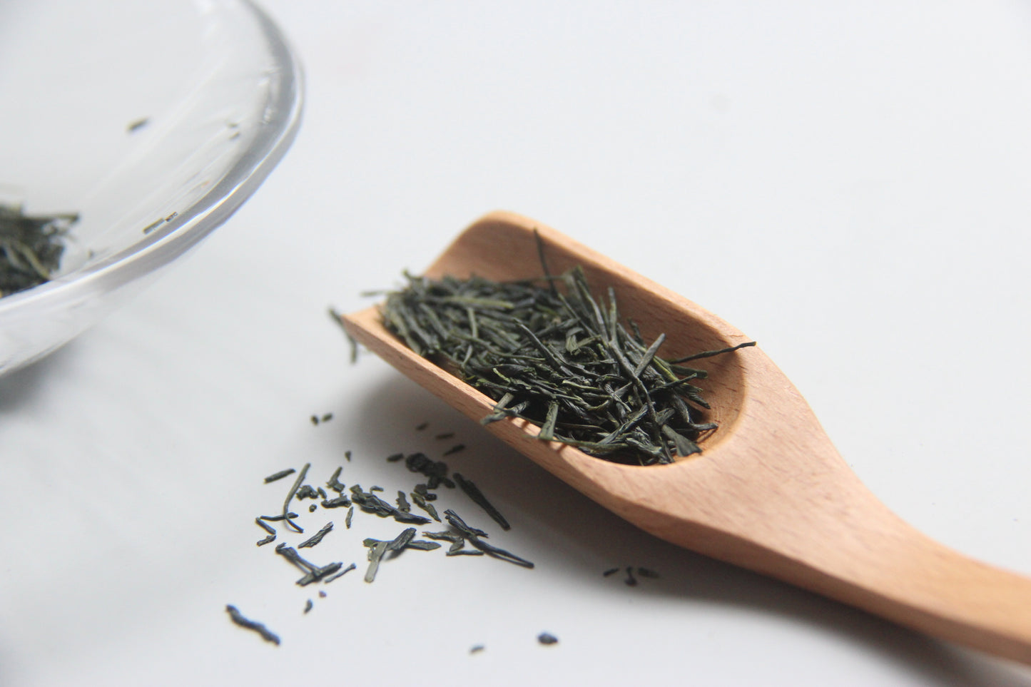 Sencha